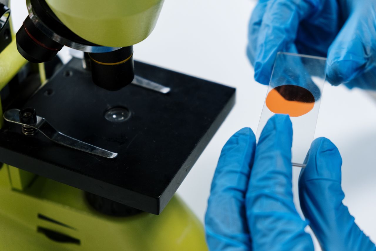 who-we-are Close-up of a scientist handling a microscope slide with blue latex gloves, preparing for analysis.